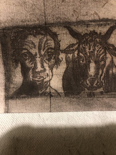 Antica incisione disegno - antica,