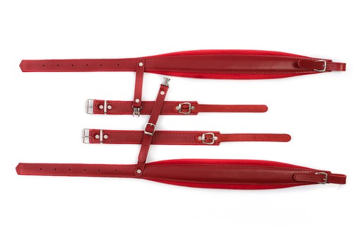 Accordion shoulder straps - accordion,