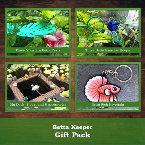 Set regalo betta pacchetto - set, betta,