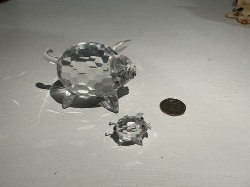 Maiale cristallo swarovski - maiale,
