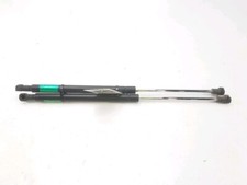 Coppia Pistoni Portellone