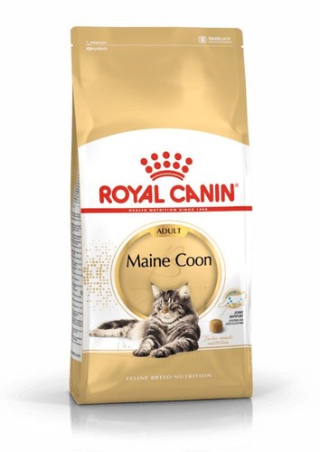 Royal canin gatto maine coon - royal,