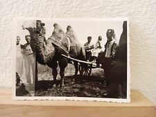 Caucaso anni '20 '30 coloni tedeschi (?) su carro trainato da cammello foto