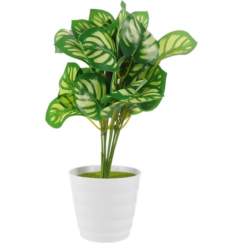 Piante artificiali con - con, vaso