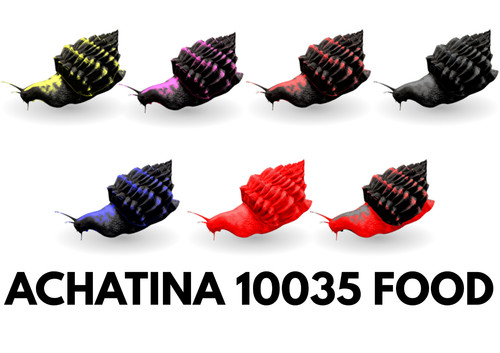 Achatina 10035 food top - 10035,