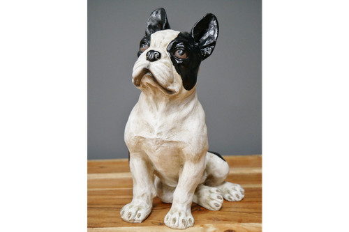 Bulldog francese bianco nero - francese, e