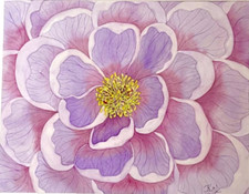 PITTURA ACQUERELLO 11X14 & MAT