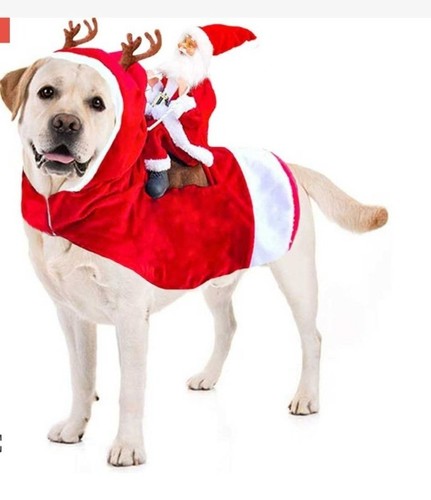 Costume babbo natale cane pet - babbo,