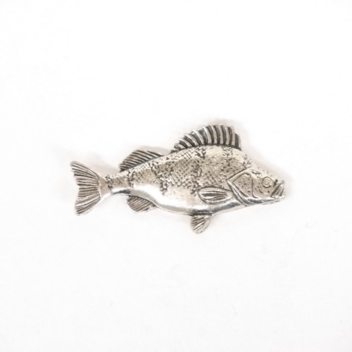 Spilla barsch pesce pescatore - pesce,