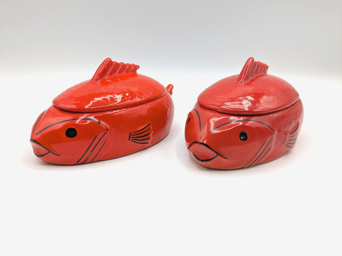 Piatti pesce rosso porcellana
