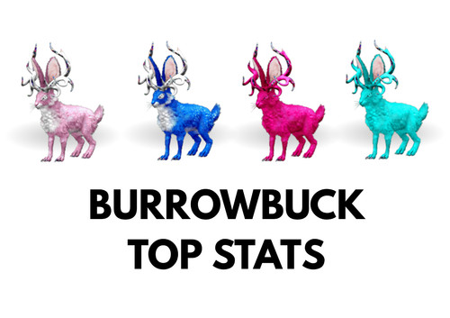 Burrowbuck top stats arca - burrowbuck,