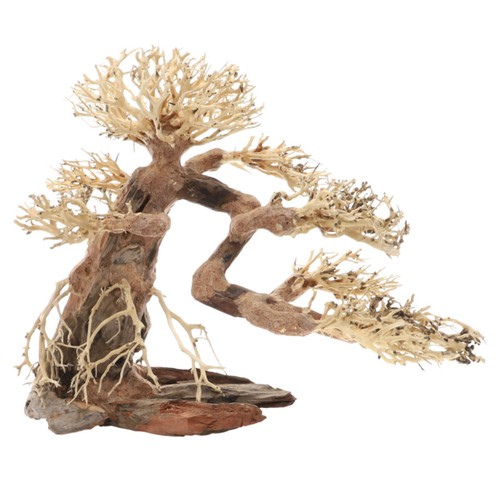 Dupla bonsai decorazione - l,