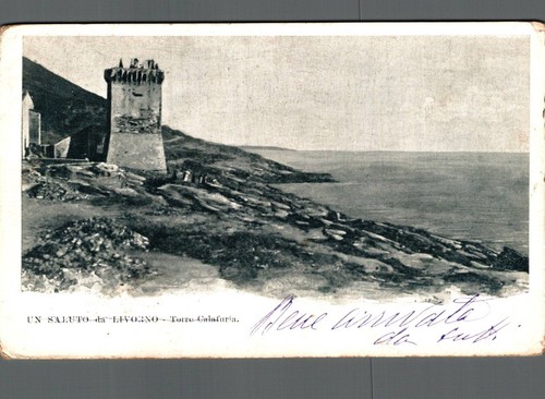 Livorno torre calafuria - torre, f
