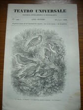 Teatro Universale 1840 Uccelli