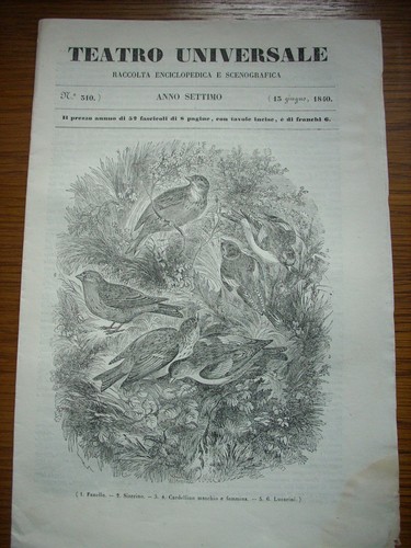 Teatro universale 1840 uccelli - 1840,