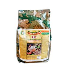 Canary Redelcanto P18 Pastone