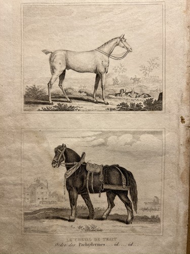Antica illustrazione 1835 - antica,