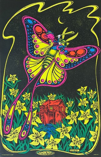664316 lunar moth 1971 - 664316,