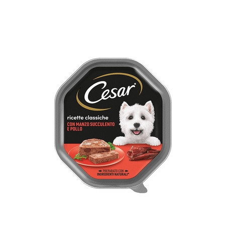 Alimento umido cane - alimento,