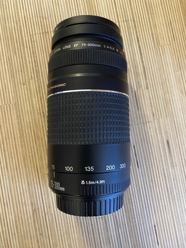 Canon 300mm 5 - canon, 75-300mm