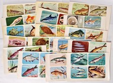 Enciclopedia di Topolino I