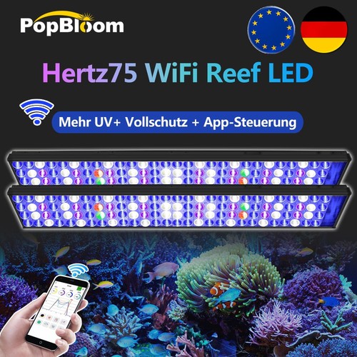 Popbloom acqua mare led - acqua, di