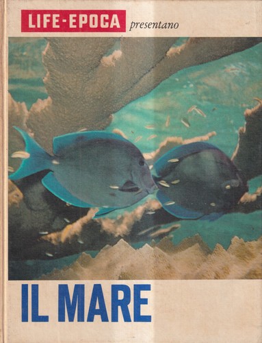 Mare engel mondadori - -,