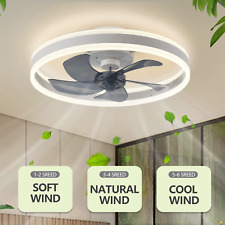 Ventilatore a Soffitto con