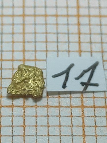 Pepita oro italia - 1,