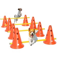 PawHut Set Attrezzatura per