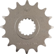 JTF1592.16 PIGNONE ANT
