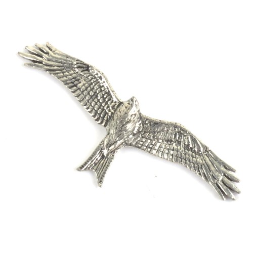 Nibbio reale hawk uccello - reale,