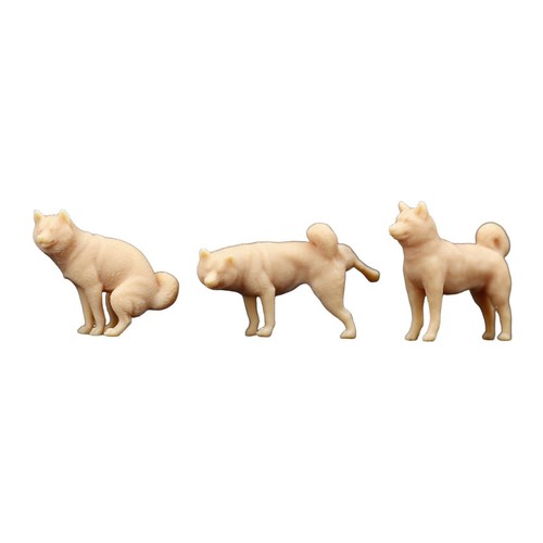 Miniature shiba inu in - inu,