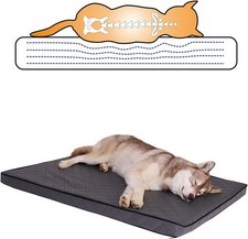 Letto Ortopedico per Cani con