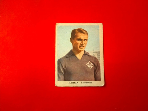 Figurina hamrin - figurina,