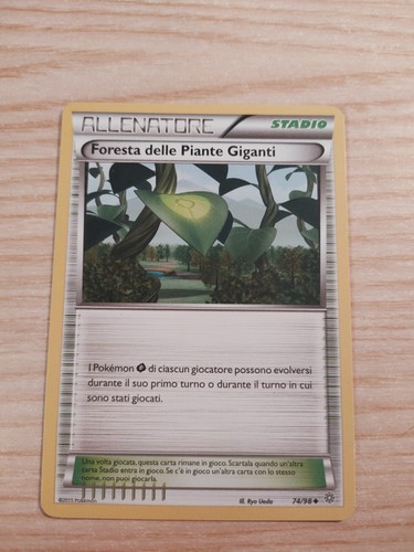 Foresta delle piante - foresta,