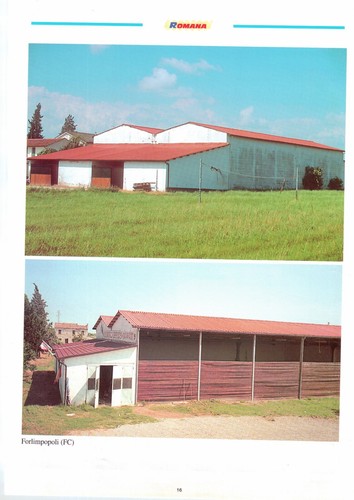 Lastre copertura eternit - lastre,