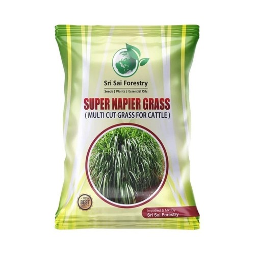 Super napier semi - super, alta