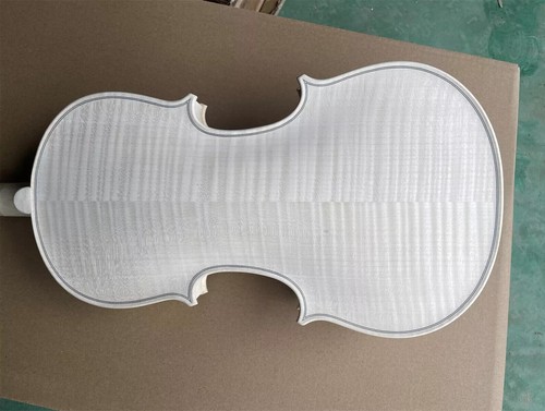 Violino professionale 4/4
