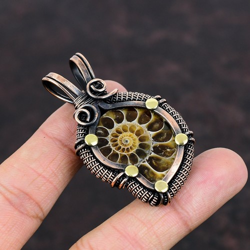 Ammonite fossile rame - , regalo