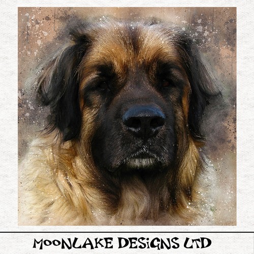 Leonberger acquerello - leonberger,,