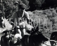 Foto Vintage Animali Stati