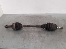 semiasse anteriore sinistra