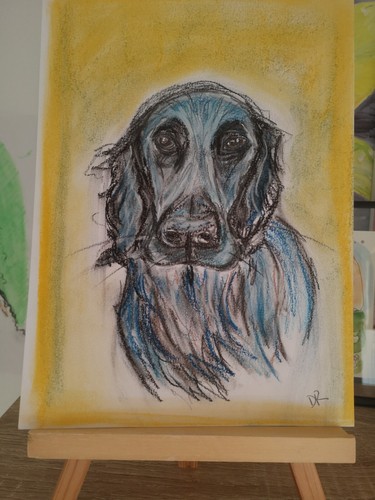 Flatcoat retriever pastello - flatcoat,