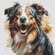 Pastore australiano cucciolo