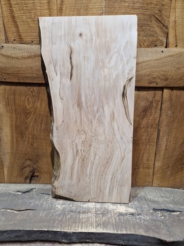 Live edge sycamore - edge, (030)