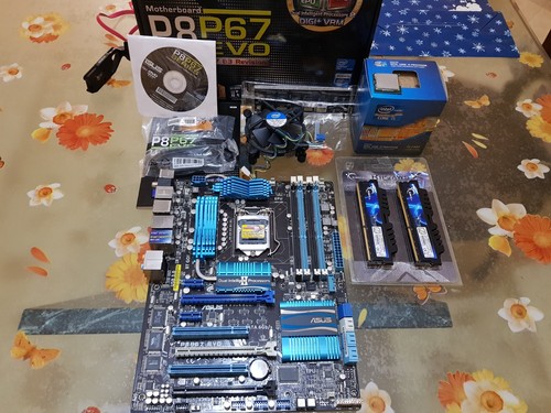 Asus scheda madre - madre, p8p67evo