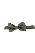 Papillon Daniele Alessandrini