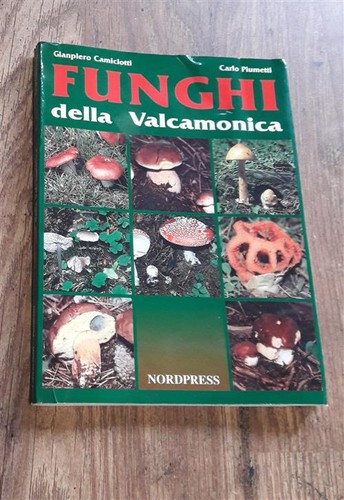 Funghi della valcamonica - funghi,