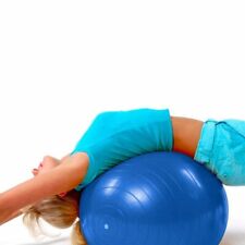 PALLA DA GINNASTICA GONFIABILE PER ESERCIZI IN PALESTRA E FITNESS GYM BALL cm 65